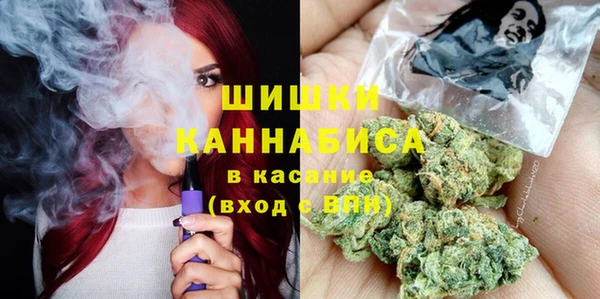 гашик Арсеньев
